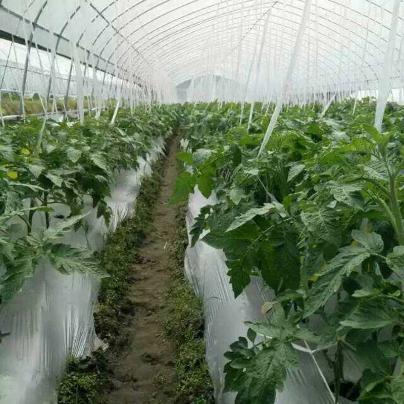 Silver Black Reflective PE Mulch Film – Weed Control Garden