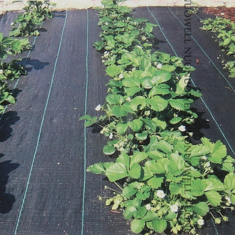 UV-Resistant Weed Control Landscape Fabric 1.2m x 100m Roll