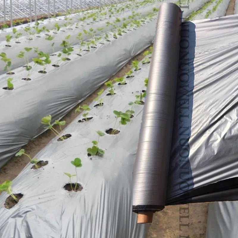 Silver Black Reflective PE Mulch Film – Weed Control Garden