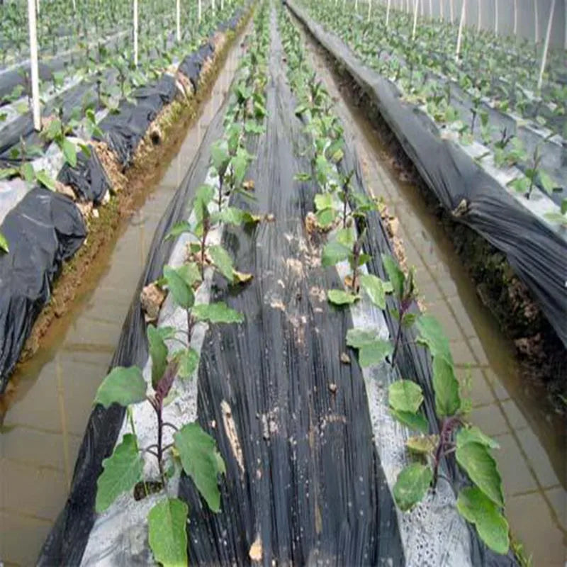 Black & White PE Mulching Film 400m² Roll – Weed Control