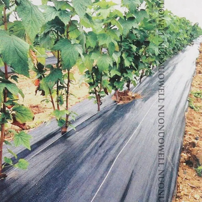 UV-Resistant Weed Control Landscape Fabric 1.2m x 100m Roll
