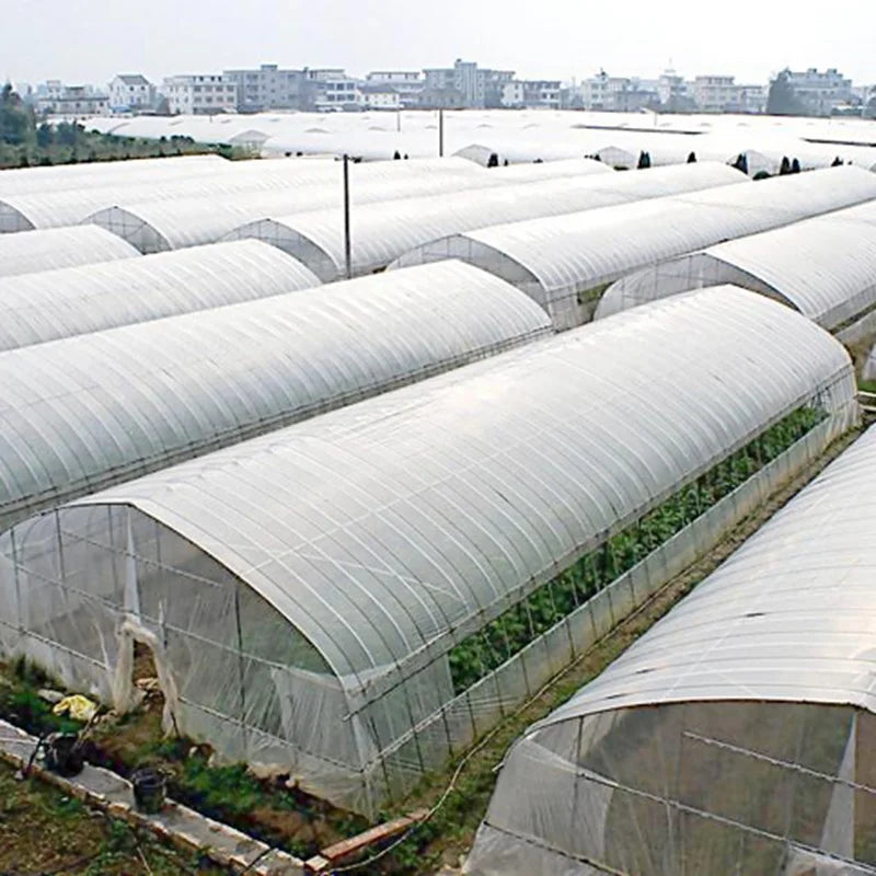 0.14mm Agricultural PE Greenhouse Film | 2m–12m Wide