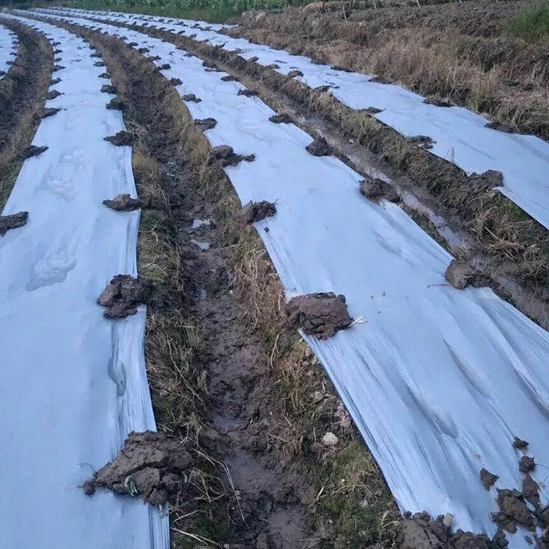 Silver Black Reflective PE Mulch Film – Weed Control Garden