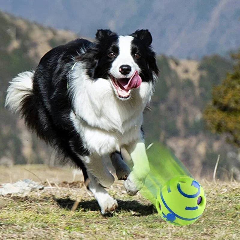 Squeaky Wobble Dog Ball – Interactive Puzzle Toy