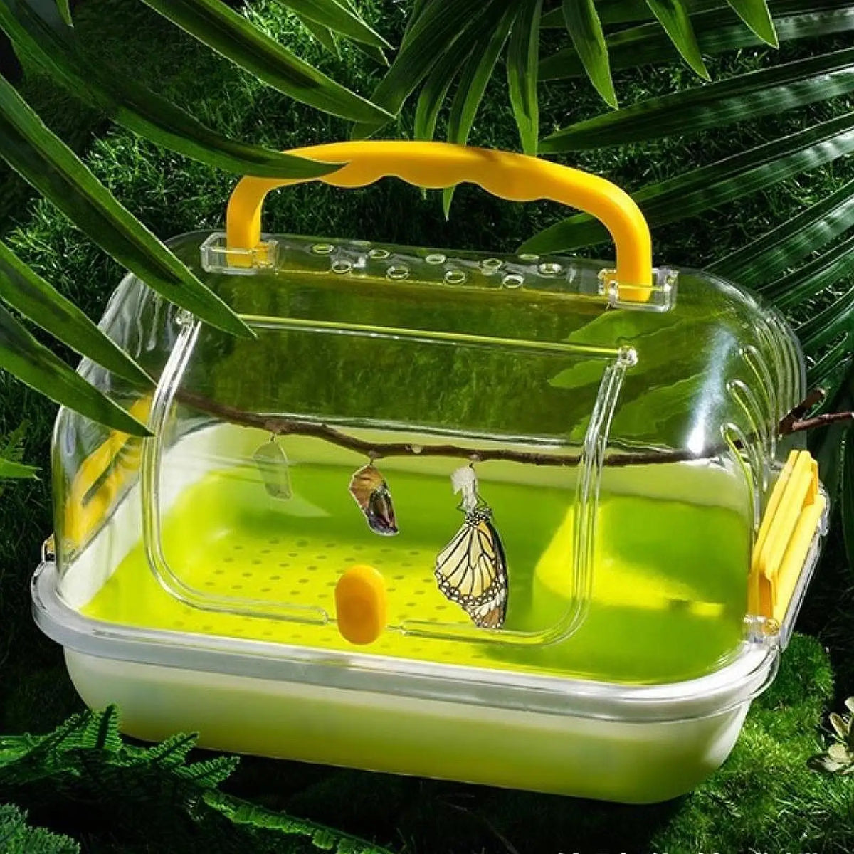 Turtle Tank Aquarium Terrarium with Lockable Lid | Reptile