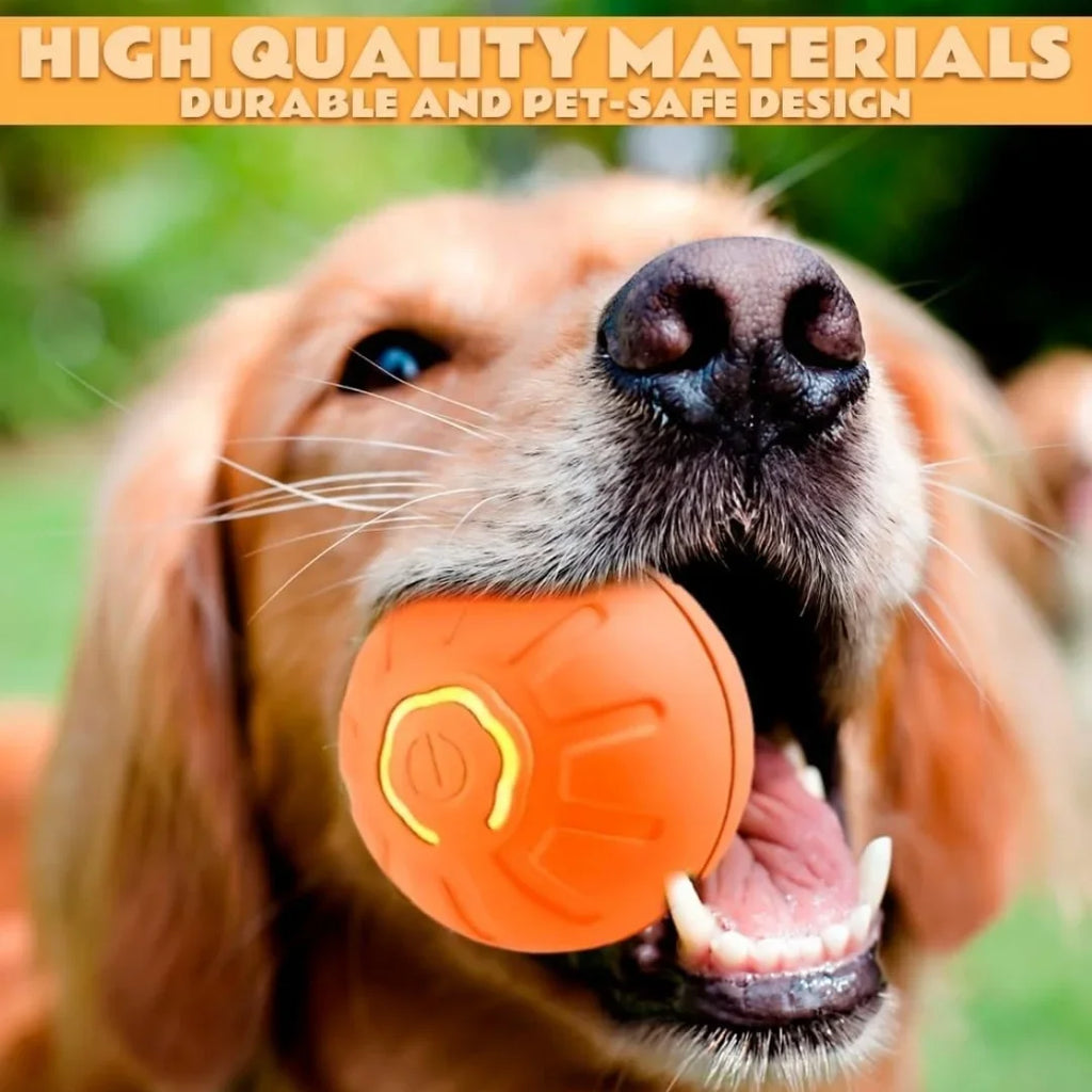 USB Rechargeable Interactive Pet Toy Ball – RGB LED for Dogs & Cats
