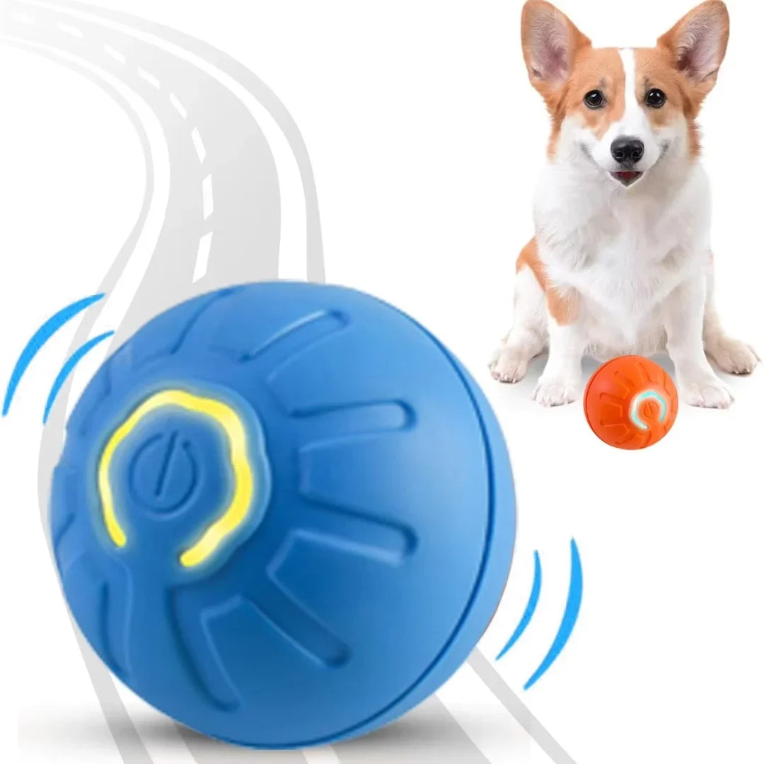 USB Rechargeable Interactive Pet Toy Ball – RGB LED for Dogs & Cats