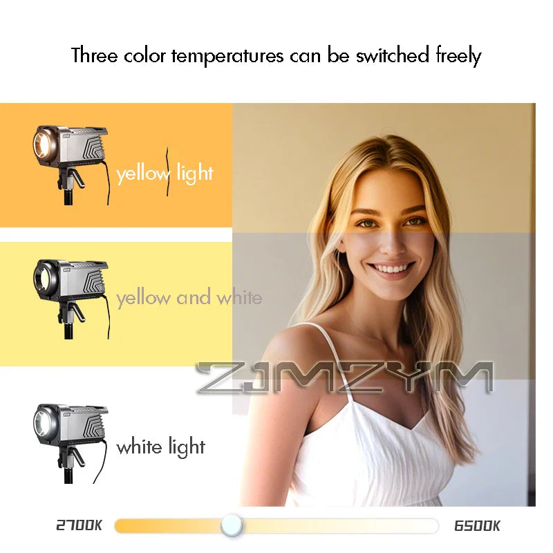 100W Bi-Color Fill Light for Live Streaming & Studio Shooting