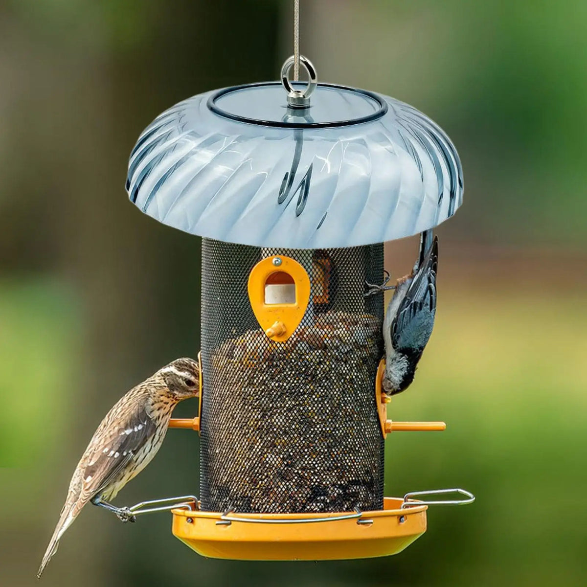 Squirrel Baffle Weatherproof Dome Cover for Bird Feeders