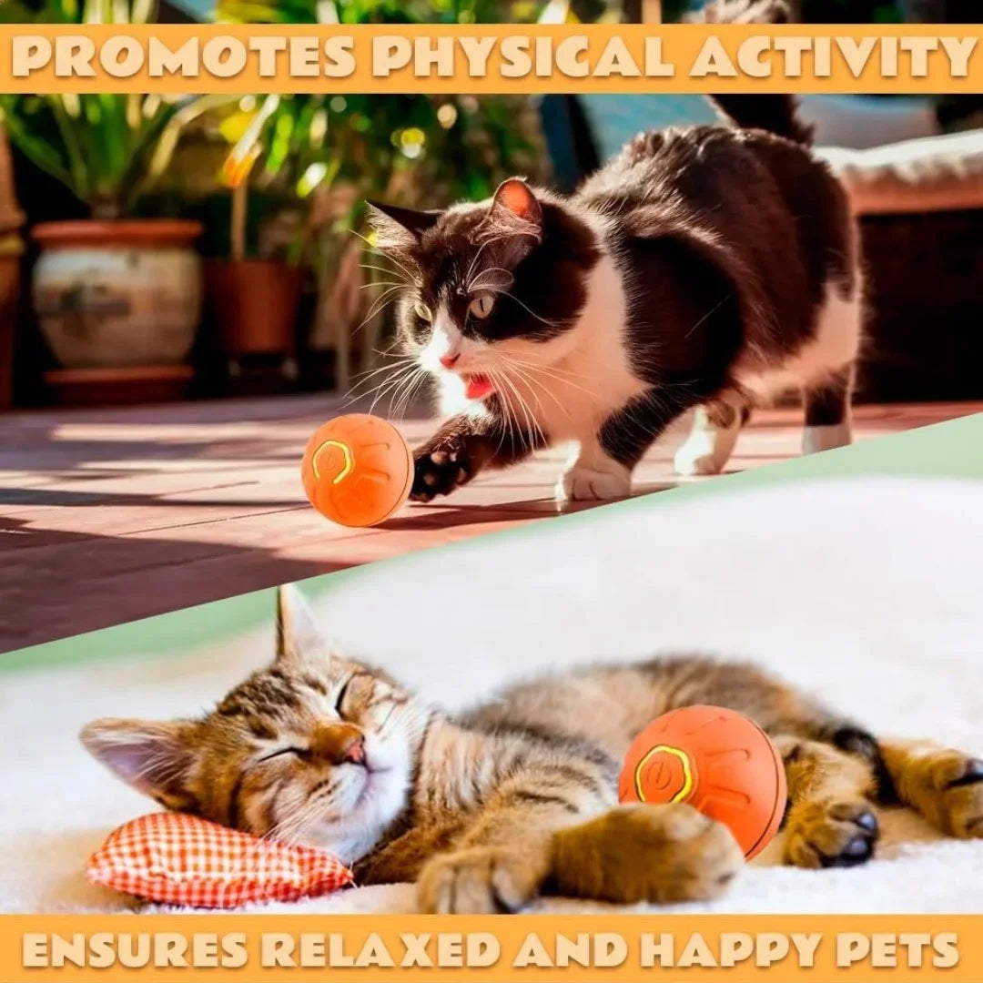 USB Rechargeable Interactive Pet Toy Ball – RGB LED for Dogs & Cats