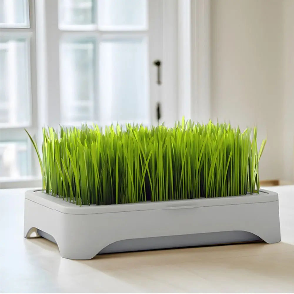 Hydroponic Cat Grass Seeding Tray – Reusable 3-Layer Planter
