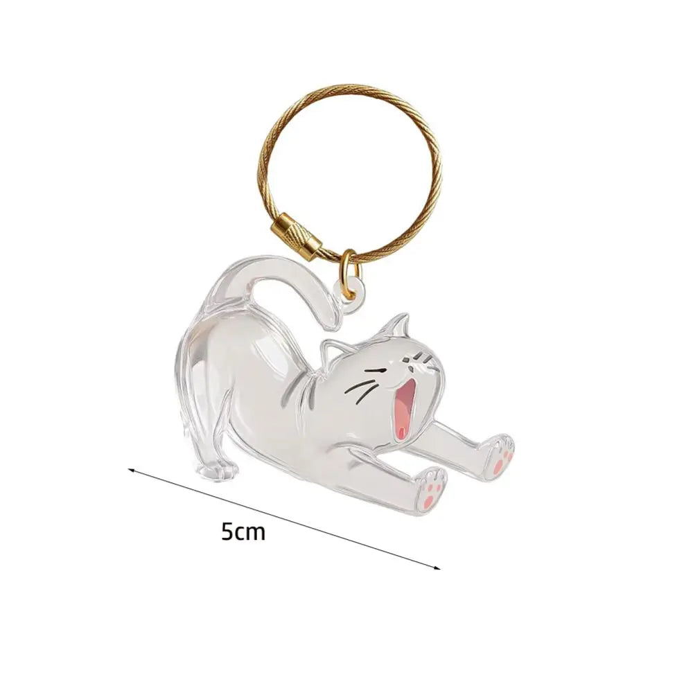 Transparent Cat Hair Storage Keychain – DIY Pet Keepsake