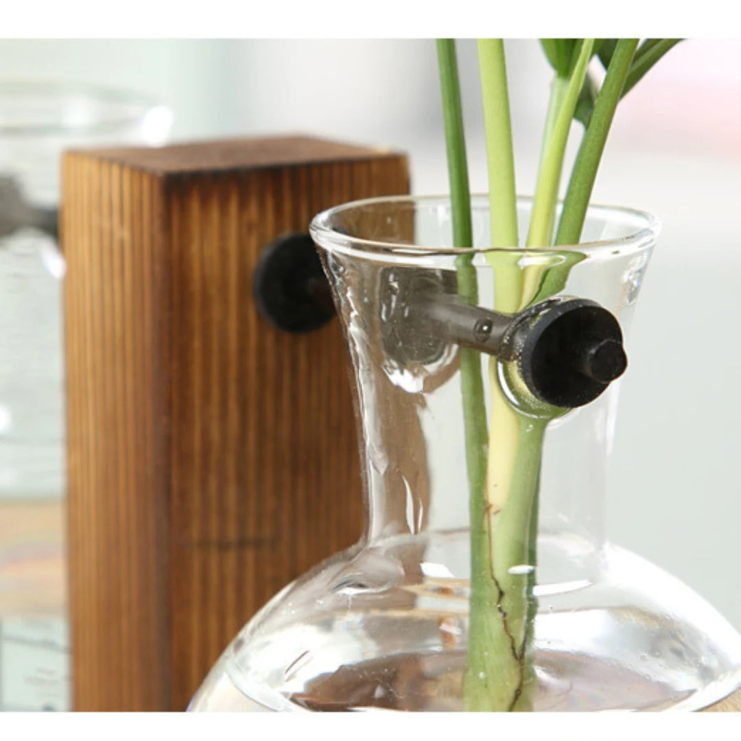 Wooden Frame Hydroponic Glass Vase | Desktop Flower Planter