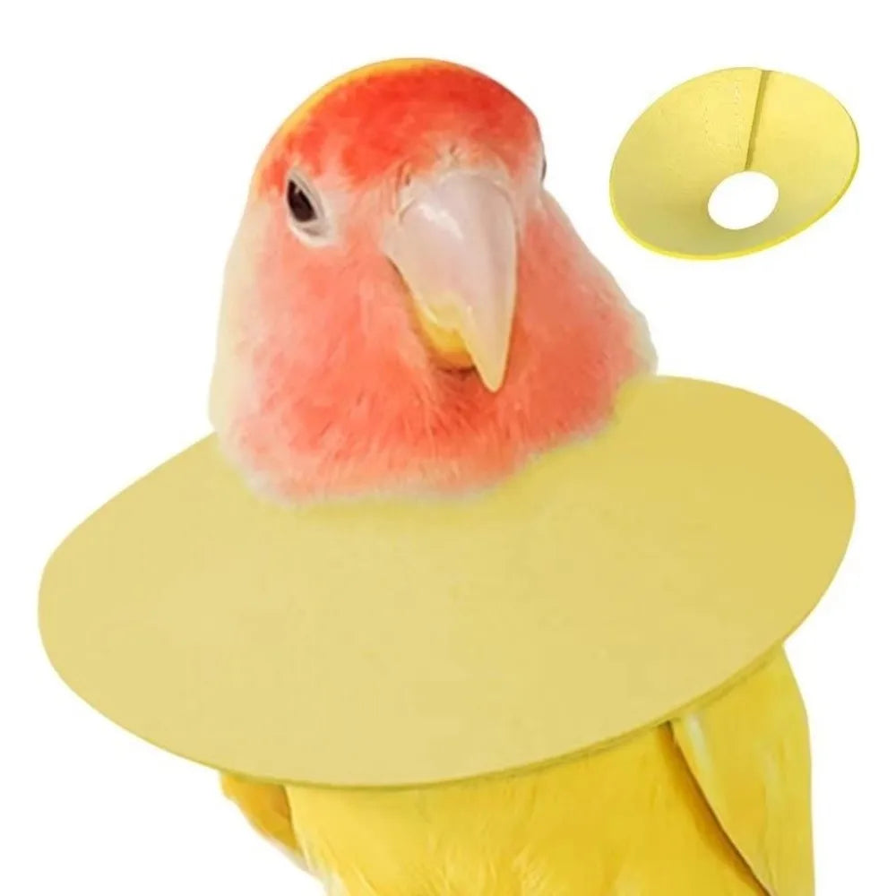 Bird Elizabethan Collar – Soft Breathable EVA Protective Cone