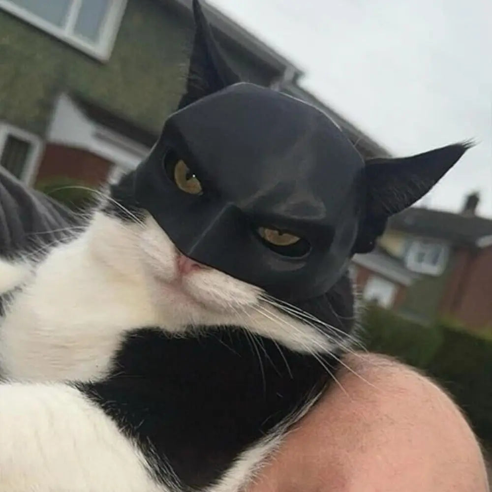 Bat Superhero Cat & Dog Halloween Mask – Pet Photo Prop
