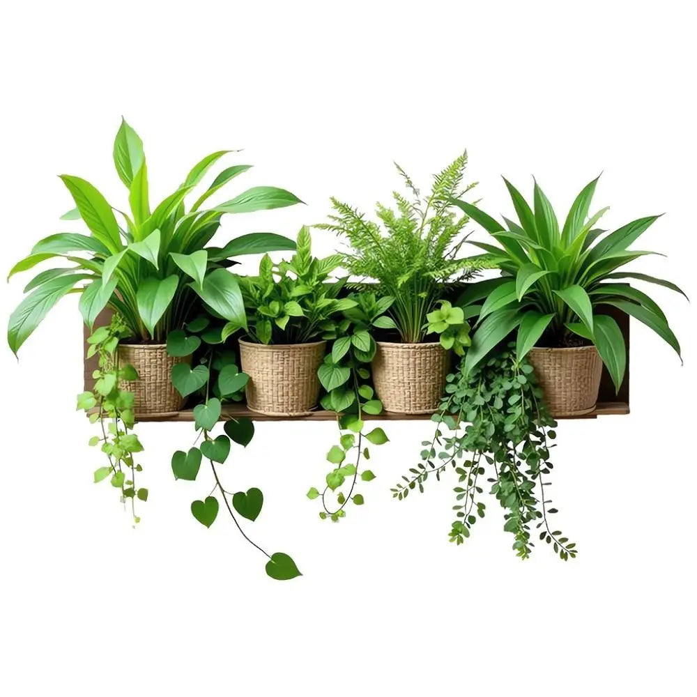 Self-Adhesive Green Plant Wall Sticker | Peel & Stick Decal
