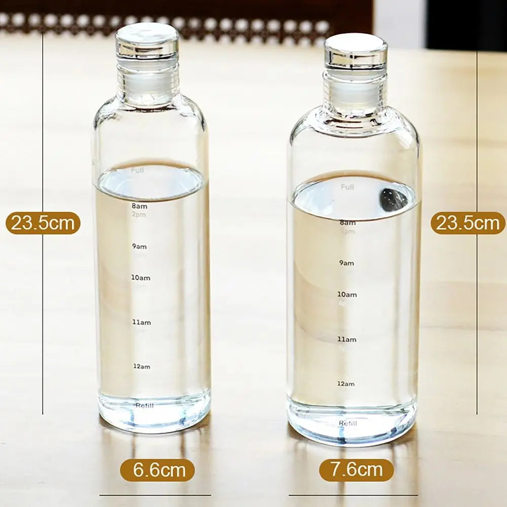 Leakproof Transparent Water Bottle 500ml/750ml | Timescale