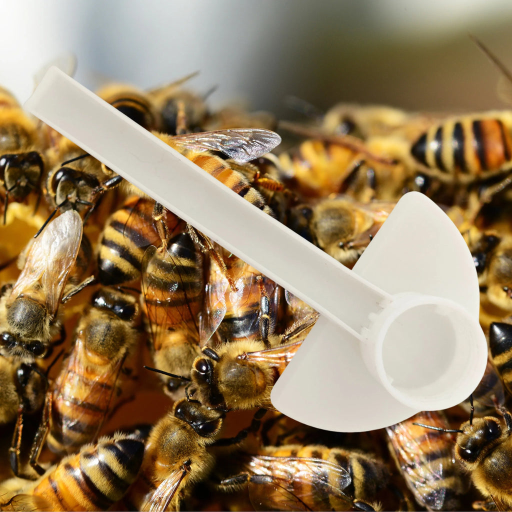 10-Pack Beehive Entrance Feeder – Plastic Bee Water Drinker