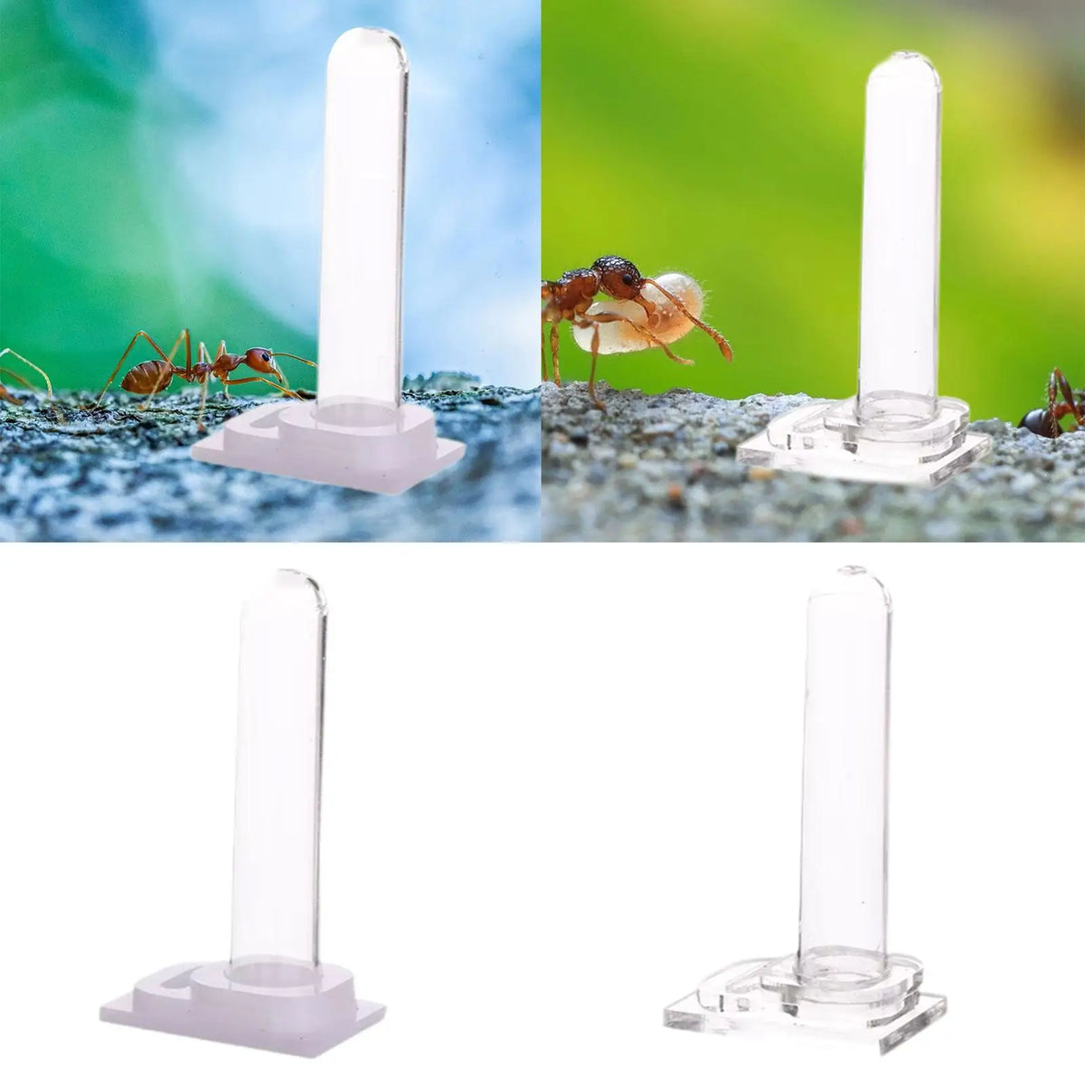 Vertical Acrylic Pet Water Dispenser – Terrarium Feeder Kit