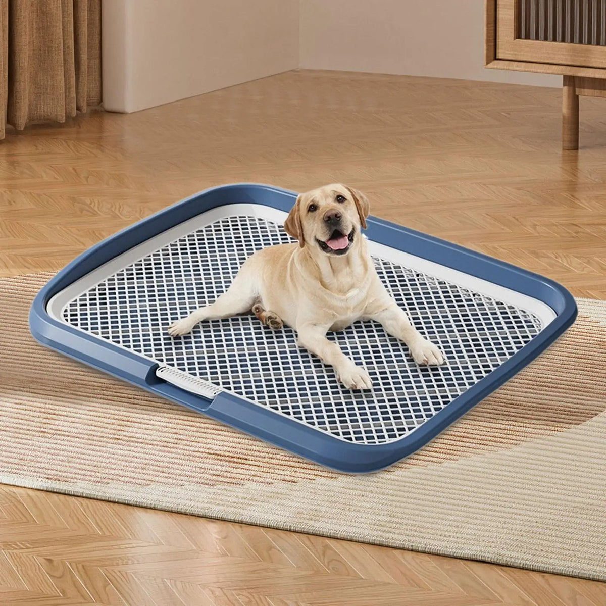 Dog Potty Training Tray Anti-Slip with Column | Puppy Pad Holder