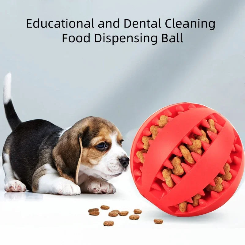 Non-Toxic Bite-Resistant Dog Chew Ball – Interactive Feeding Toy