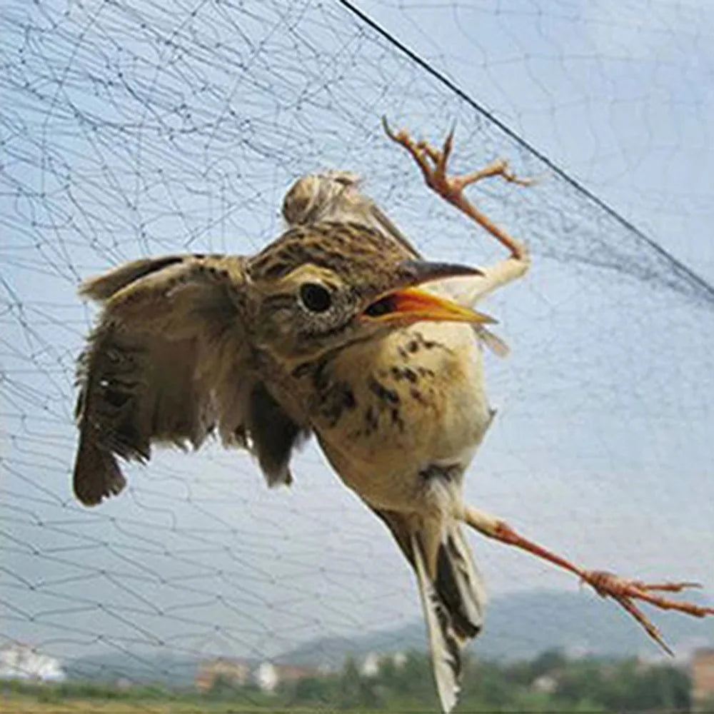 Bird Netting Nylon Protective Net – Garden, Crop & Pond