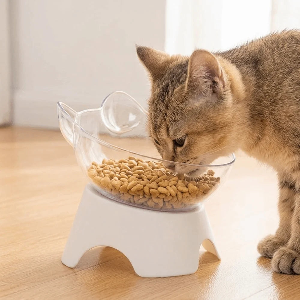 Tilted Raised Cat Bowl | Transparent Polymer Pet Food Bowl
