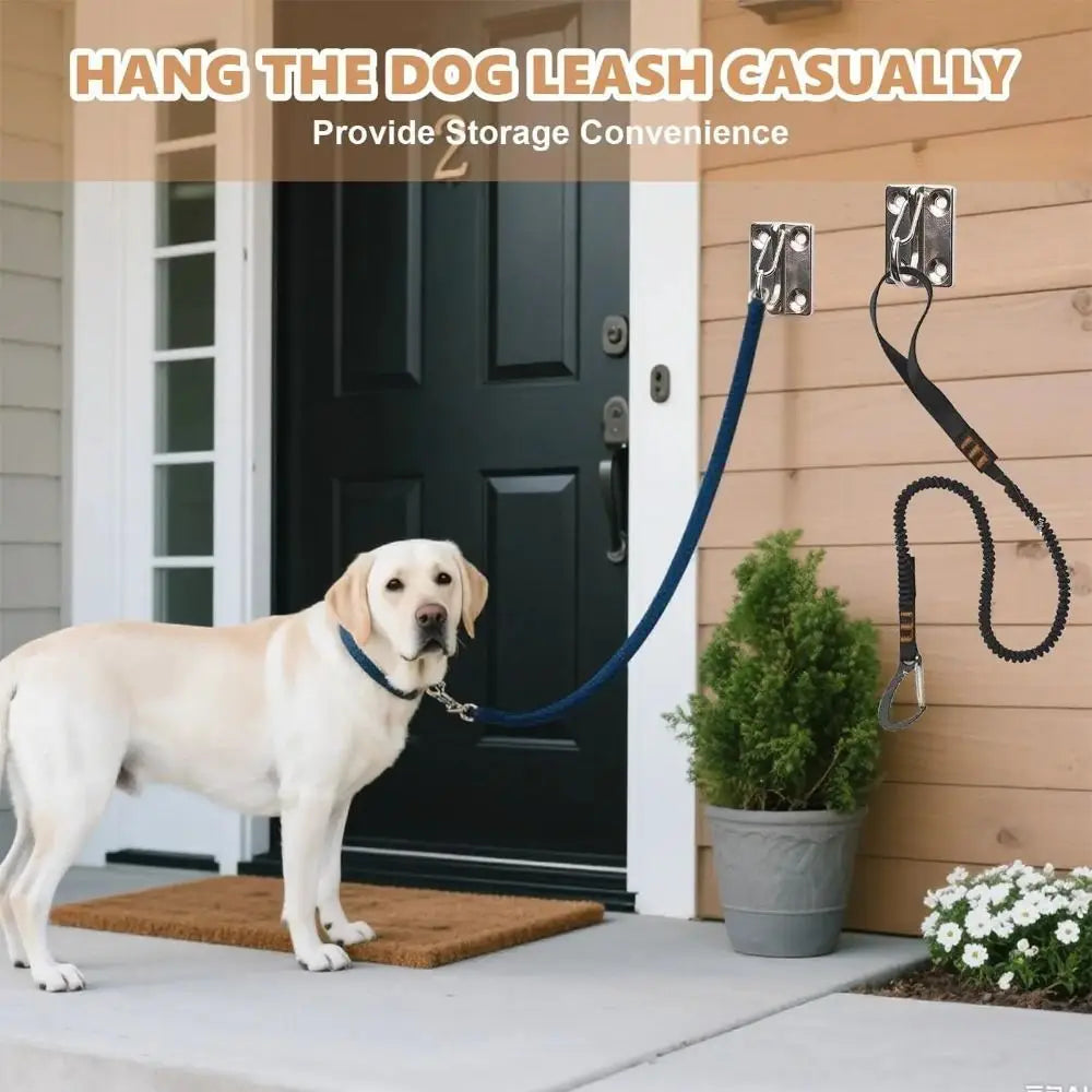 316 Stainless Steel Wall Hook – Dog Leash Holder & Organizer