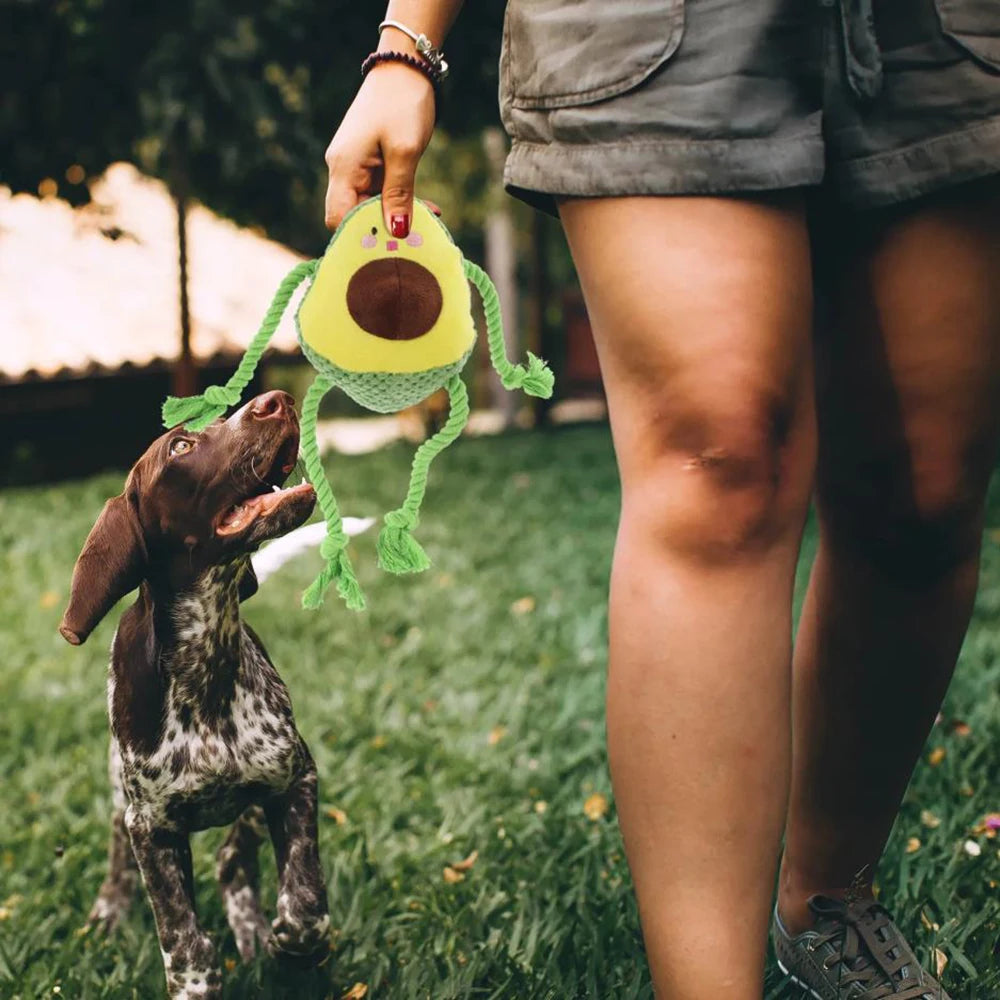 Chew-Resistant Squeaky Pet Toy – Avocado & Octopus Knot Doll