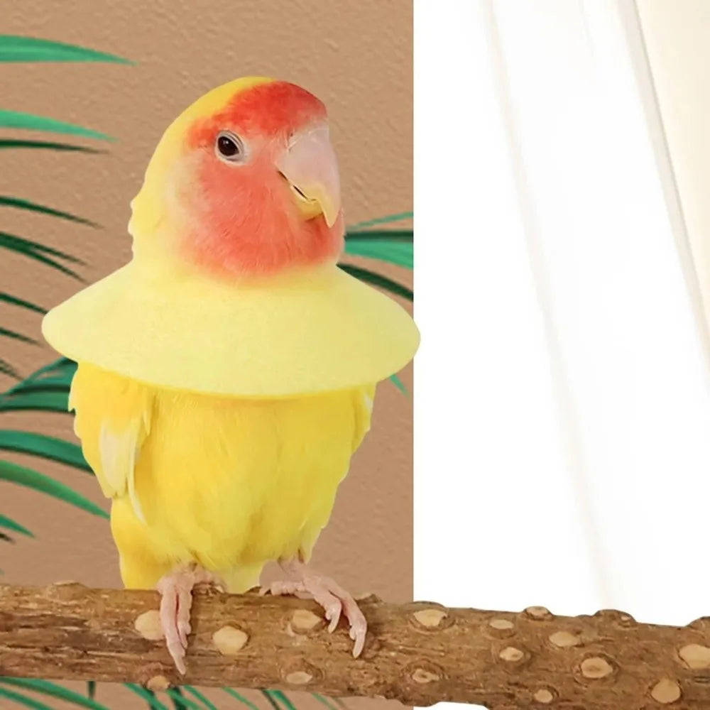 Bird Elizabethan Collar – Soft Breathable EVA Protective Cone