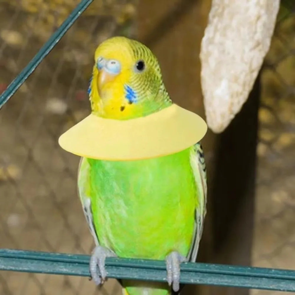 Bird Elizabethan Collar – Soft Breathable EVA Protective Cone