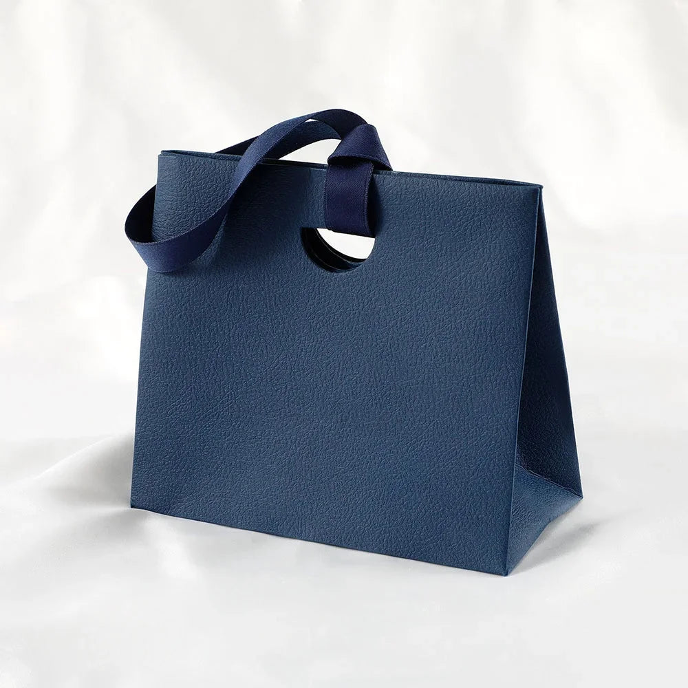 Jewelry Gift Paper Tote Bag with Ribbon | Elegant Packaging