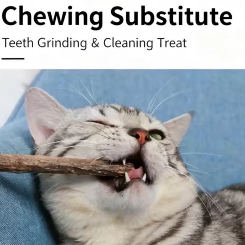20-Pc Natural Polygonum Cat Chew Sticks – Dental Molar Toy