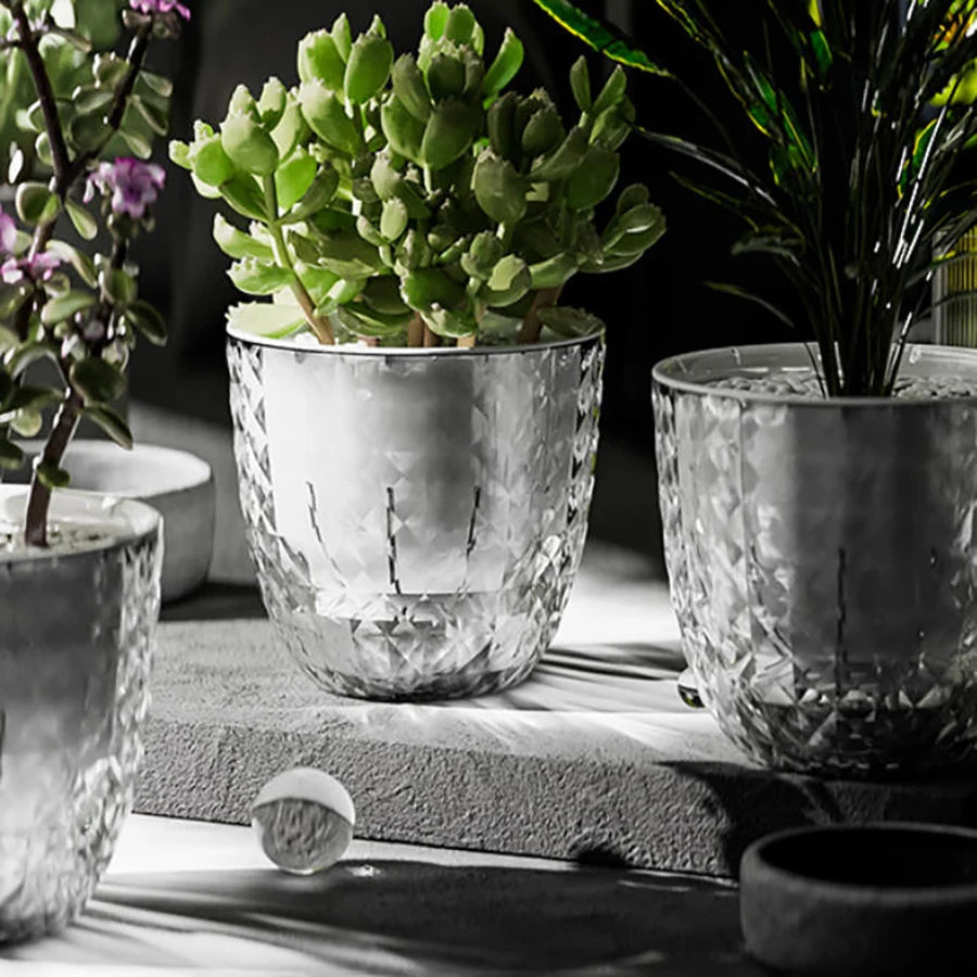 Self-Watering Double Layer Plant Pot with Clear Reservoir