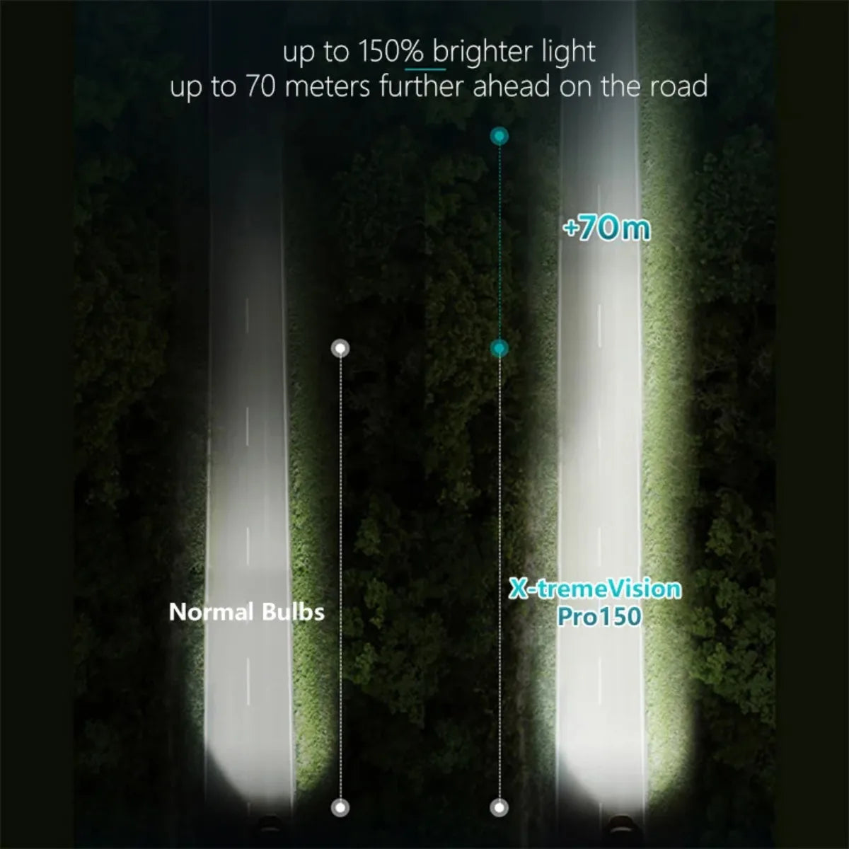 Philips H7 H4 12V 55W Halogen Headlight Bulbs – Up to 200% Brighter