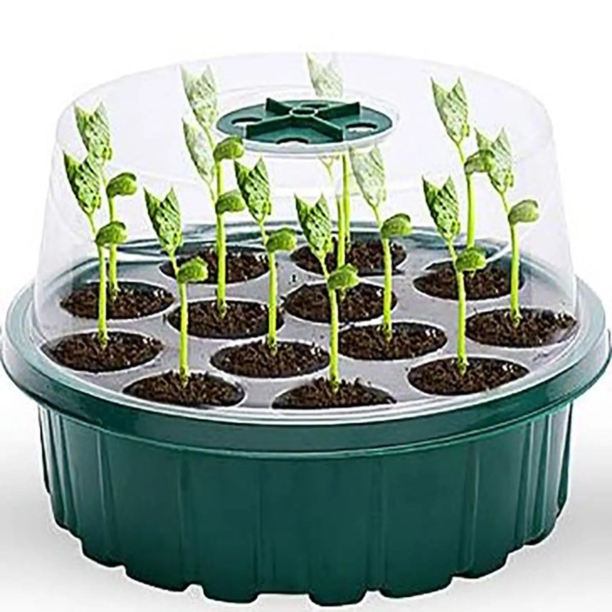 13-Cell Seed Starter Tray Kit with Humidity Dome – 2-Pack