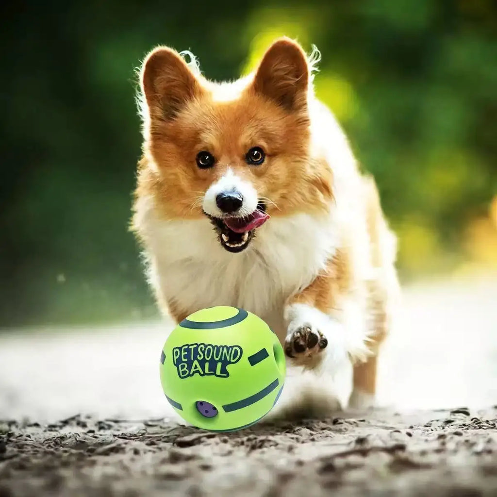 Interactive Giggle Ball – IQ Training & Mental Stimulation Dog Toy