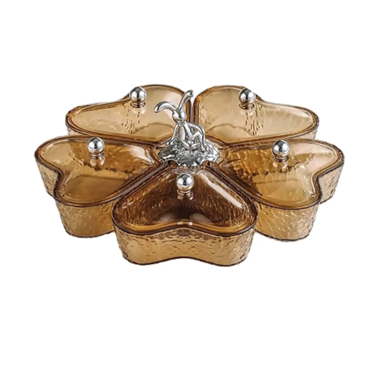 Divided Appetizer Platter with Lid & Rotating Base – 5 Sections