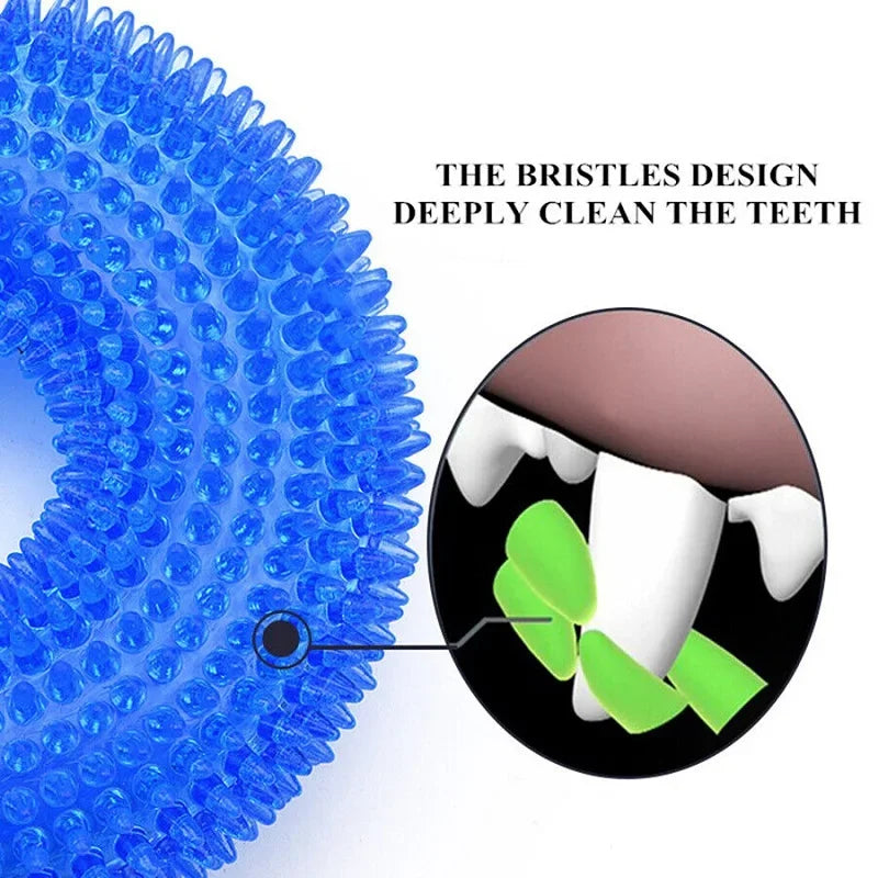 Squeaky Dog Chew Toy – TPR Bite-Resistant Molar Teeth Cleaner