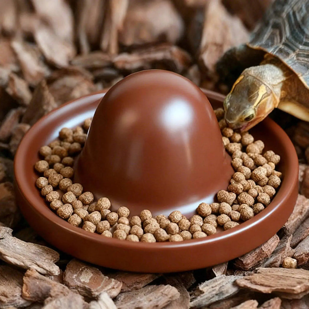 Anti-Overturn Turtle Feeding Bowl | Reptile Terrarium Dish