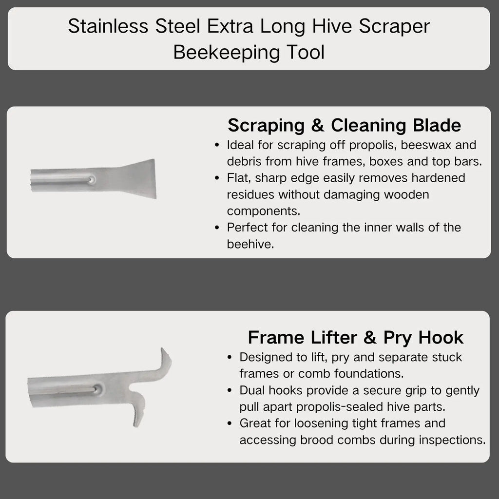 Stainless Steel Beehive Tool – Frame Lifter & Scraper