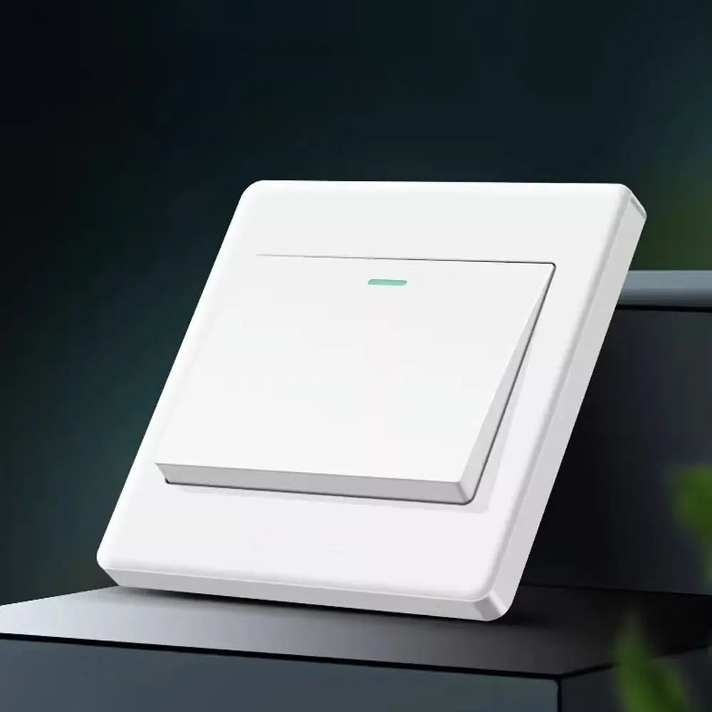 1-Way Wall Light Switch with Fluorescent Indicator 10A 250V