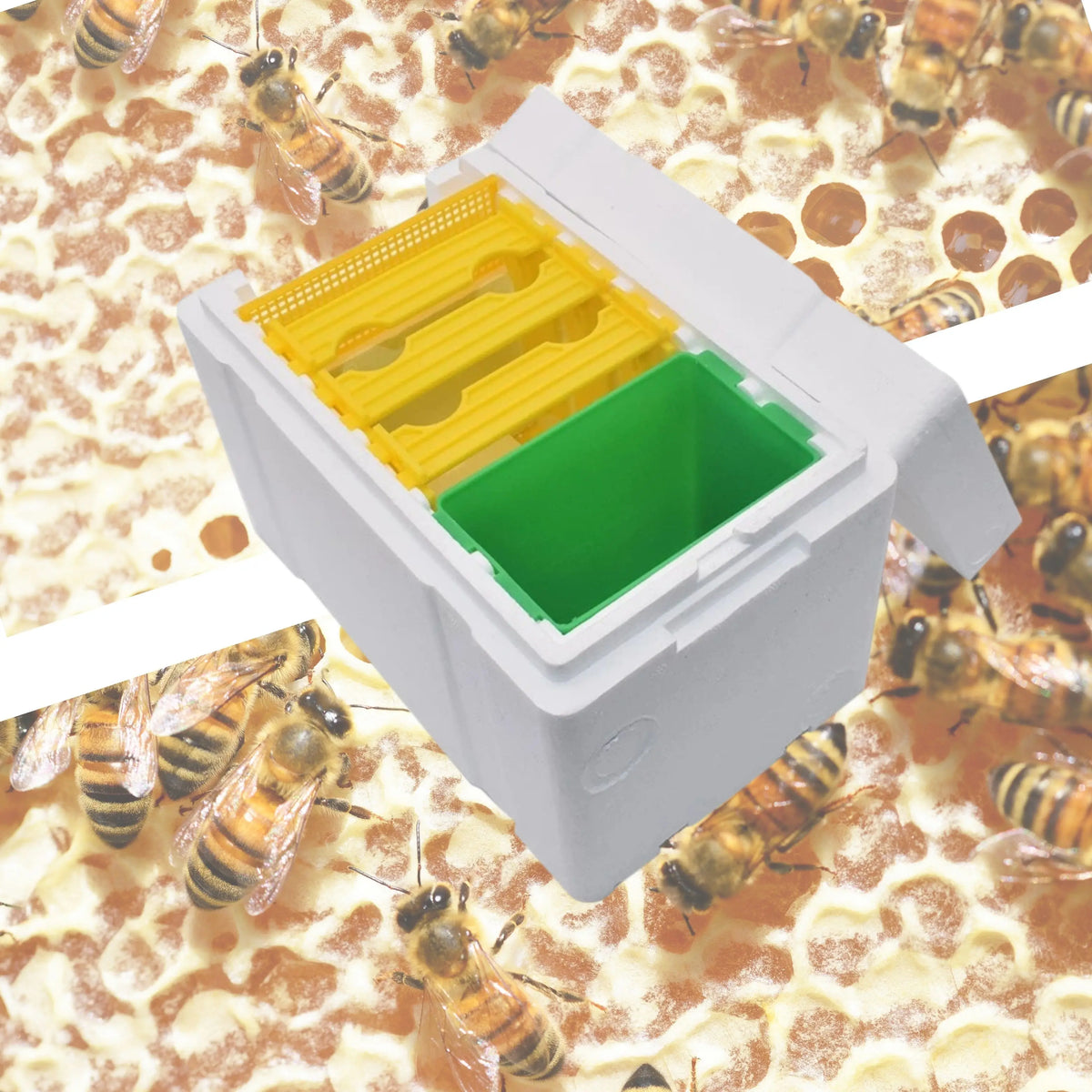 Queen Bee Breeding Box with Mating Chamber – Foam Nuc Hive