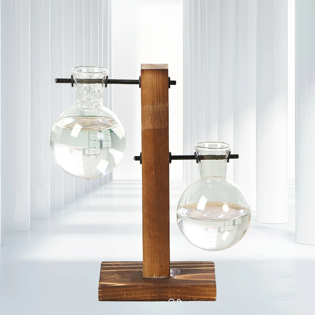 Wooden Frame Hydroponic Glass Vase | Desktop Flower Planter