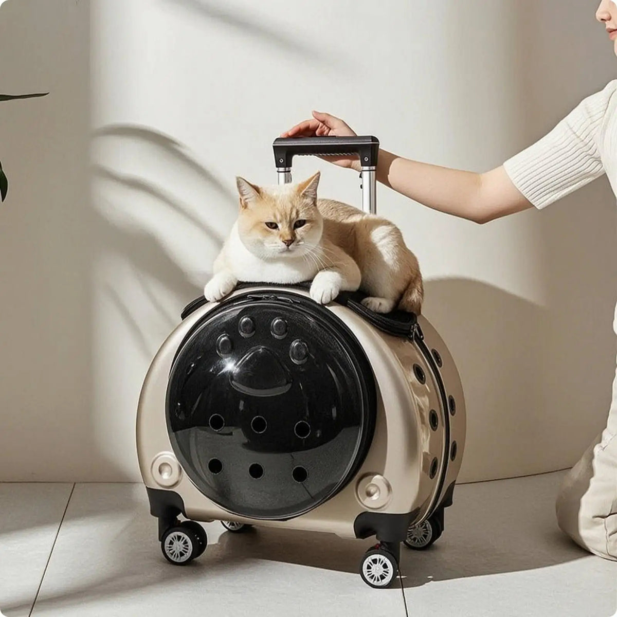 Wheeled Transparent Hard-Sided Pet Carrier Suitcase for Cats & Dogs
