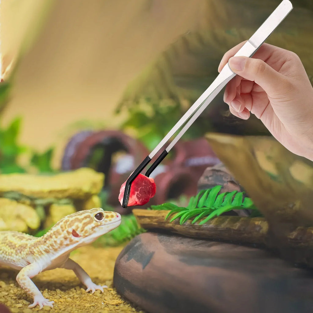 Stainless Steel Reptile Feeding Tongs – Long Tweezers