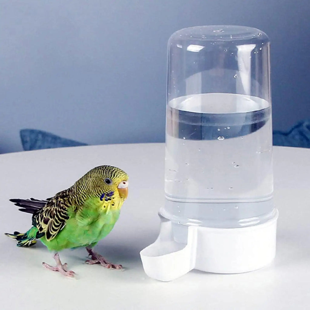 Automatic Bird Water Feeder – Large Capacity Cage Drinker
