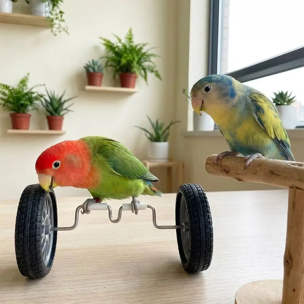 Parrot Balance Bike Toy for Budgie Cockatiel Lovebird Training