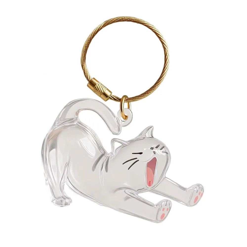 Transparent Cat Hair Storage Keychain – DIY Pet Keepsake