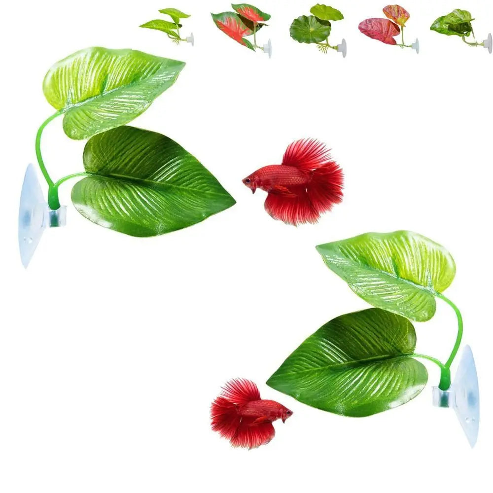 Betta Fish Leaf Pad Hammock with Suction Cup – Lotus Leaf Decor